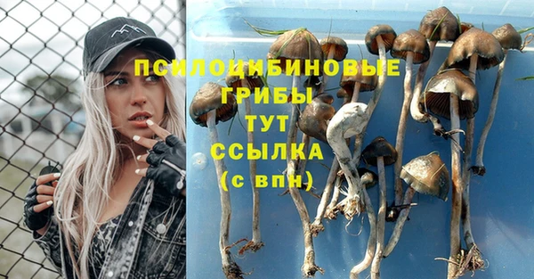 jwh Волоколамск