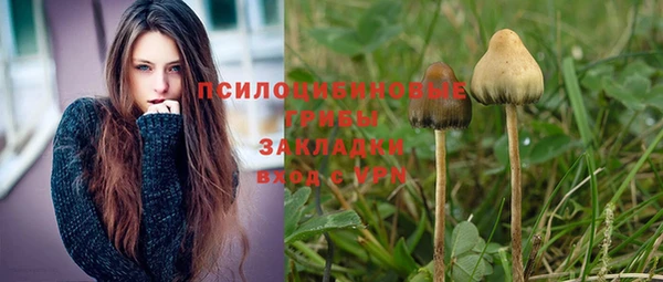прущие крисы Волосово