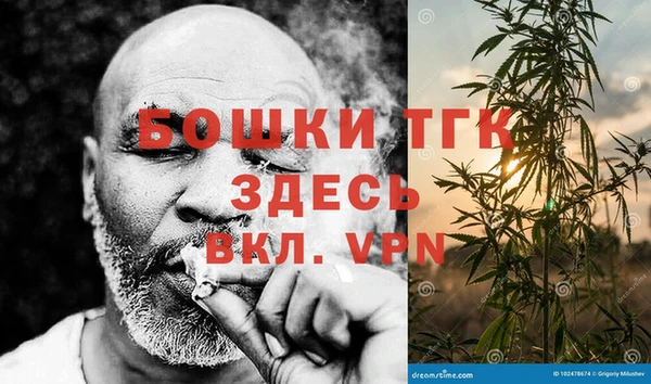 гашик Верея